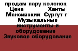 продам пару колонок › Цена ­ 10 000 - Ханты-Мансийский, Сургут г. Музыкальные инструменты и оборудование » Звуковое оборудование   